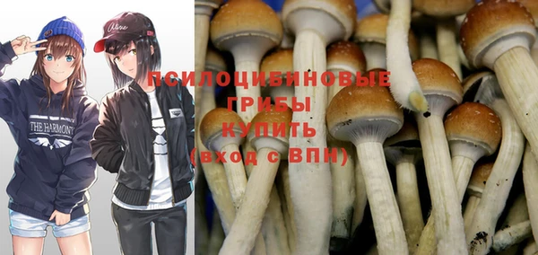 меф Новозыбков